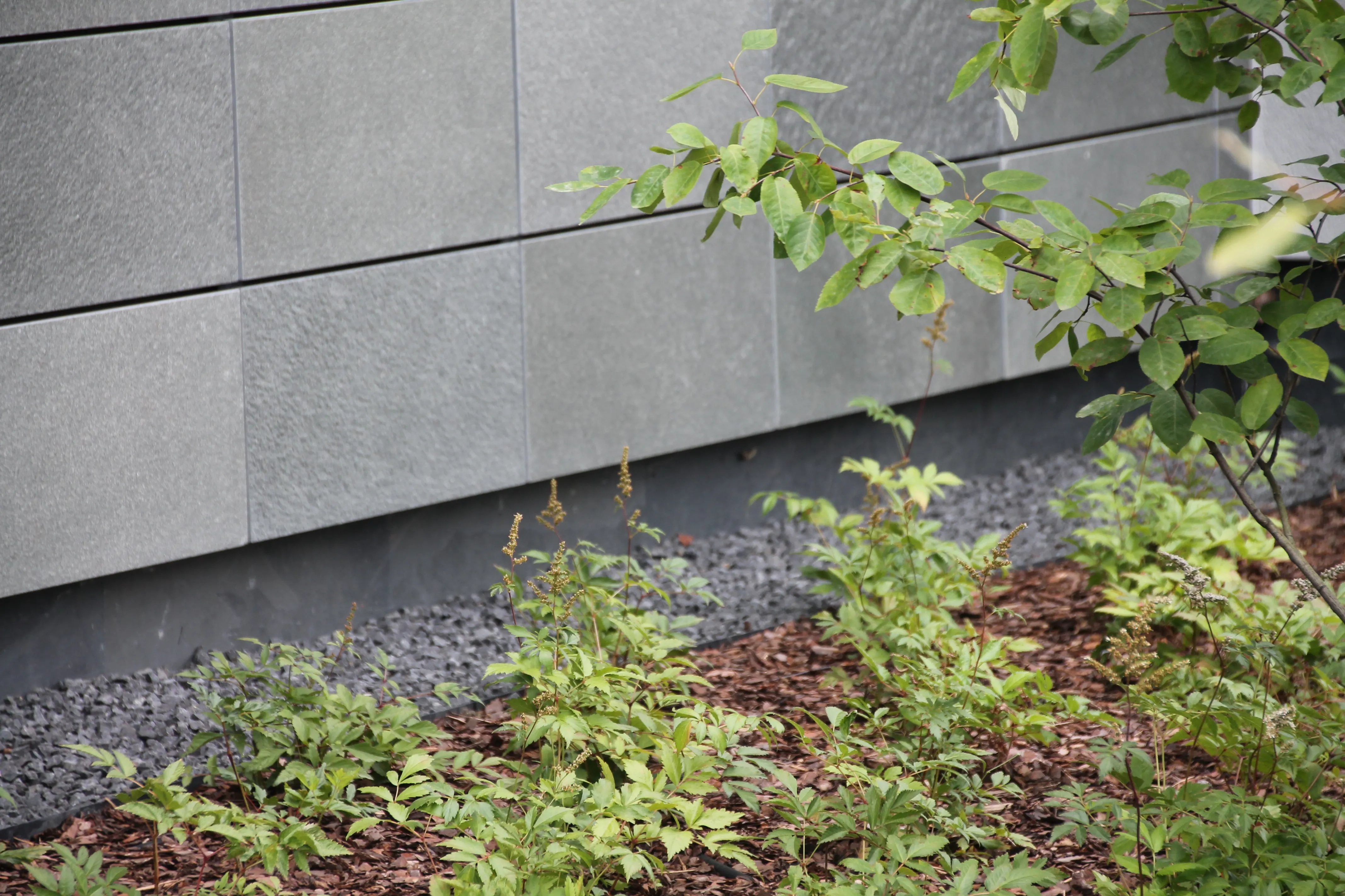 dach położony Łupkiem przez firmę Raf-dach